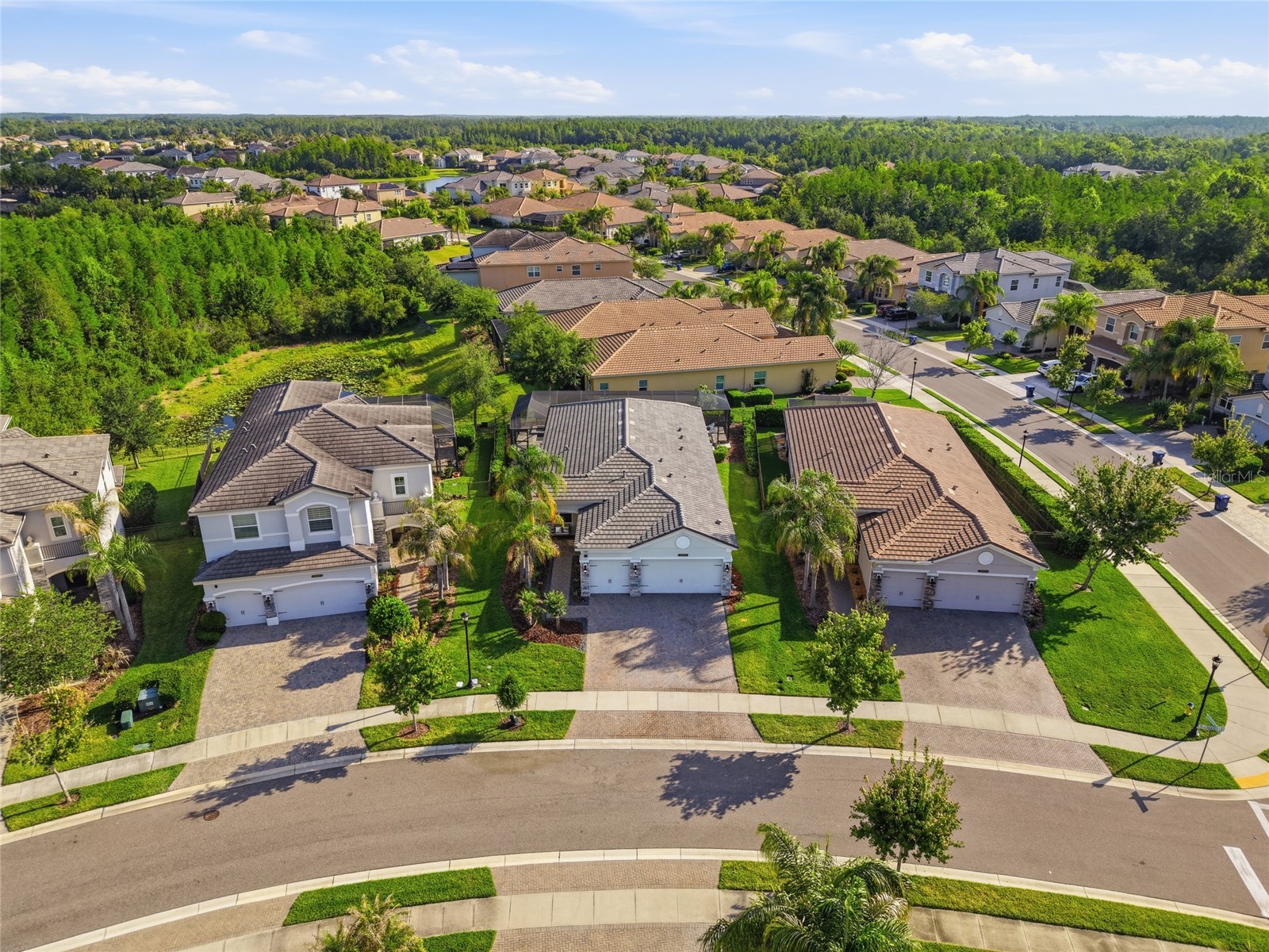 30423 Tristania Court Wesley Chapel FL 33543 TB8505571 image47
