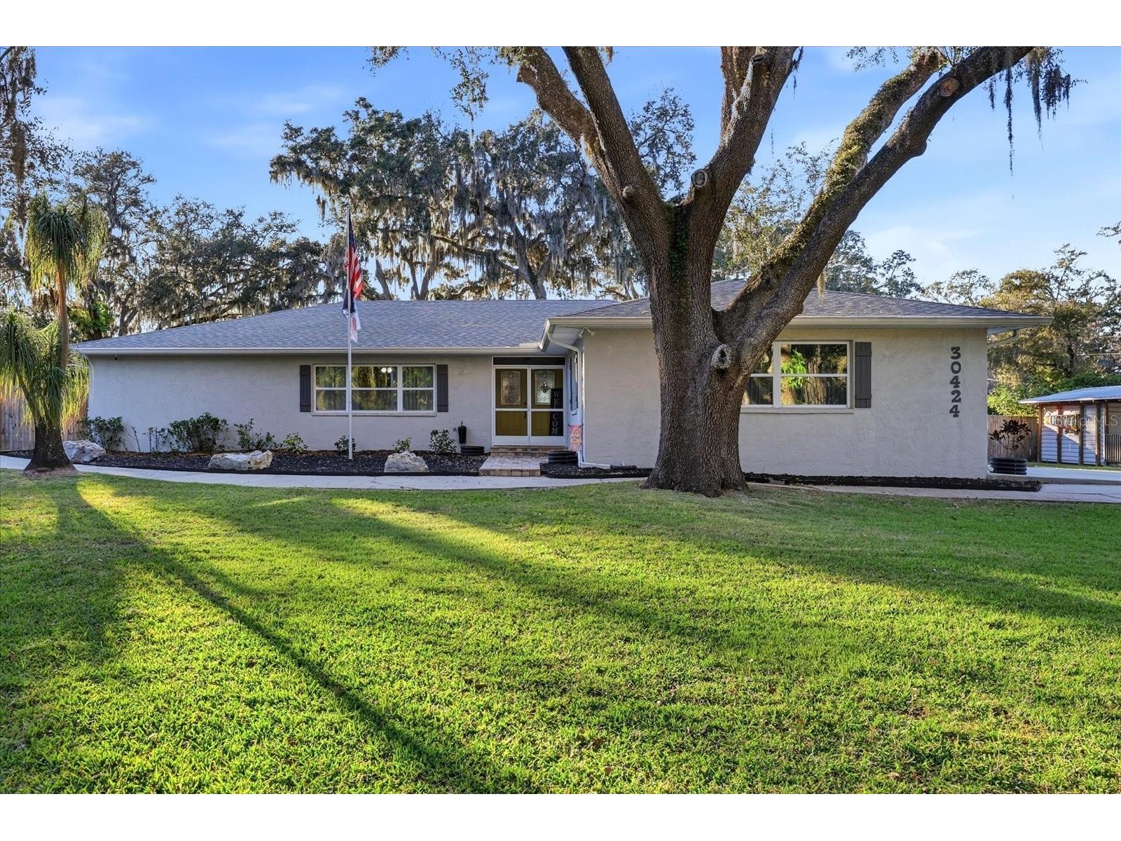 30424 Hillside Lane Wesley Chapel FL 33545 - LAKE HOLDON TB8514637 image1