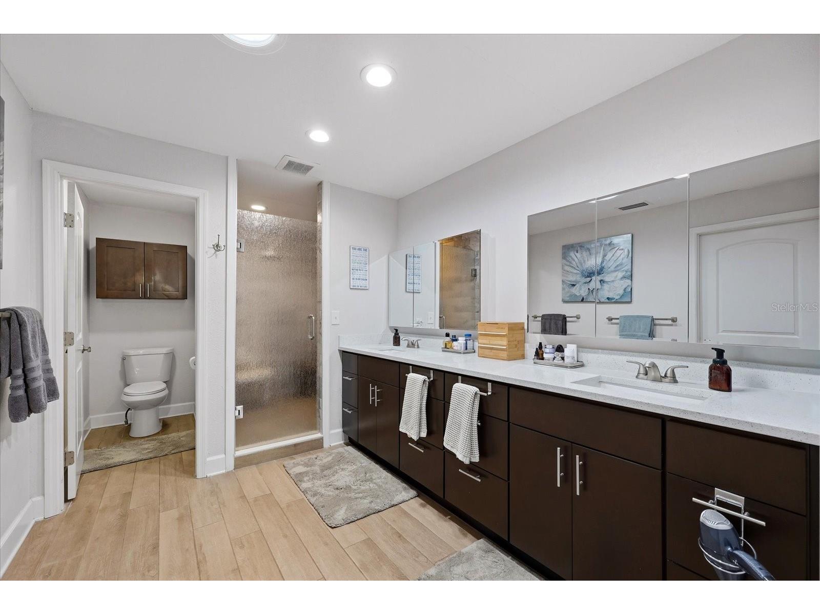 30424 Hillside Lane Wesley Chapel FL 33545 - LAKE HOLDON TB8514637 image22