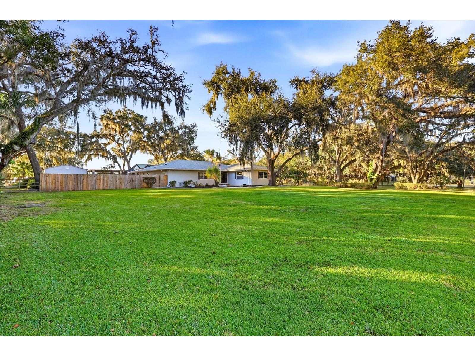 30424 Hillside Lane Wesley Chapel FL 33545 - LAKE HOLDON TB8514637 image3