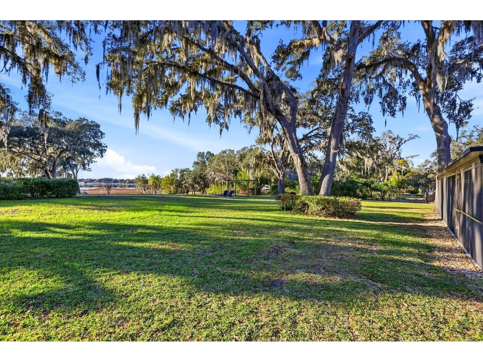 30424 Hillside Lane Wesley Chapel FL 33545 - LAKE HOLDON TB8514637 image47