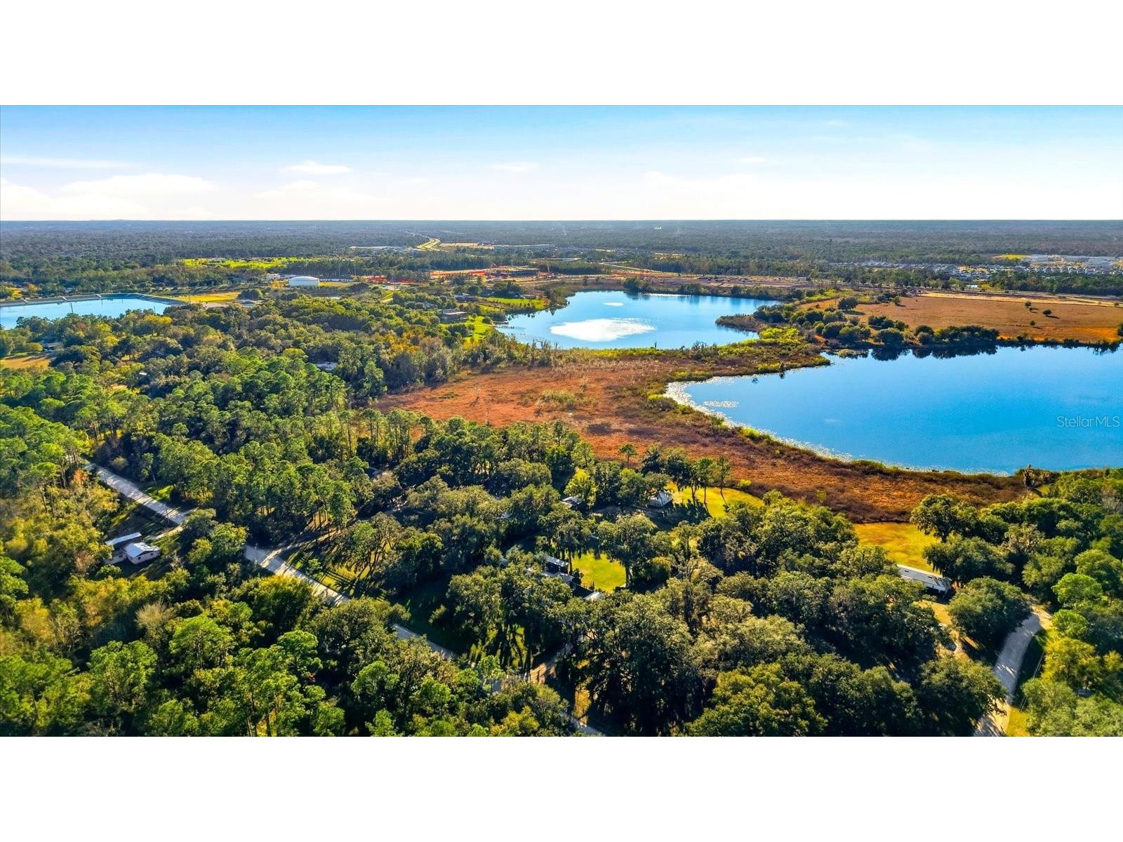 30424 Hillside Lane Wesley Chapel FL 33545 - LAKE HOLDON TB8514637 image54