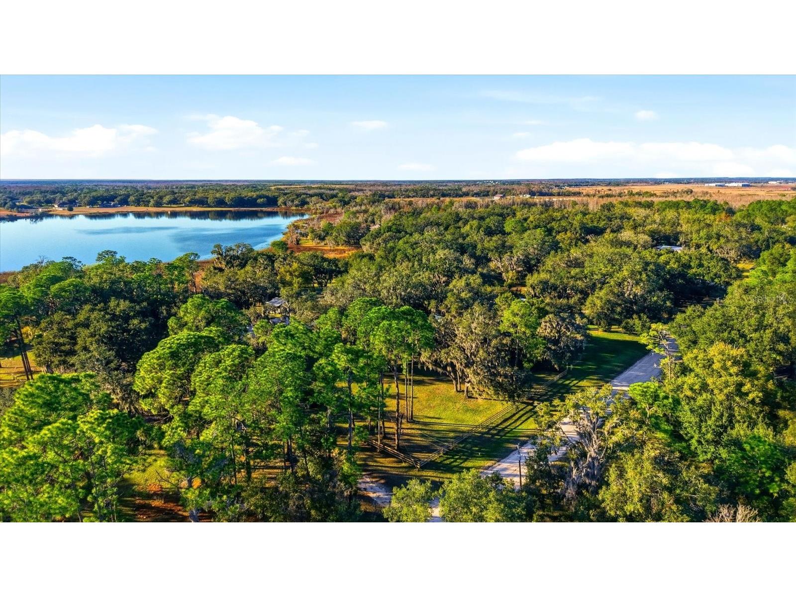 30424 Hillside Lane Wesley Chapel FL 33545 - LAKE HOLDON TB8514637 image55