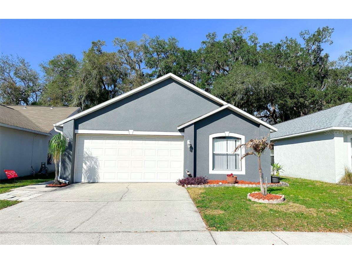 30428 Double Drive Wesley Chapel FL 33545 T3427794 image1