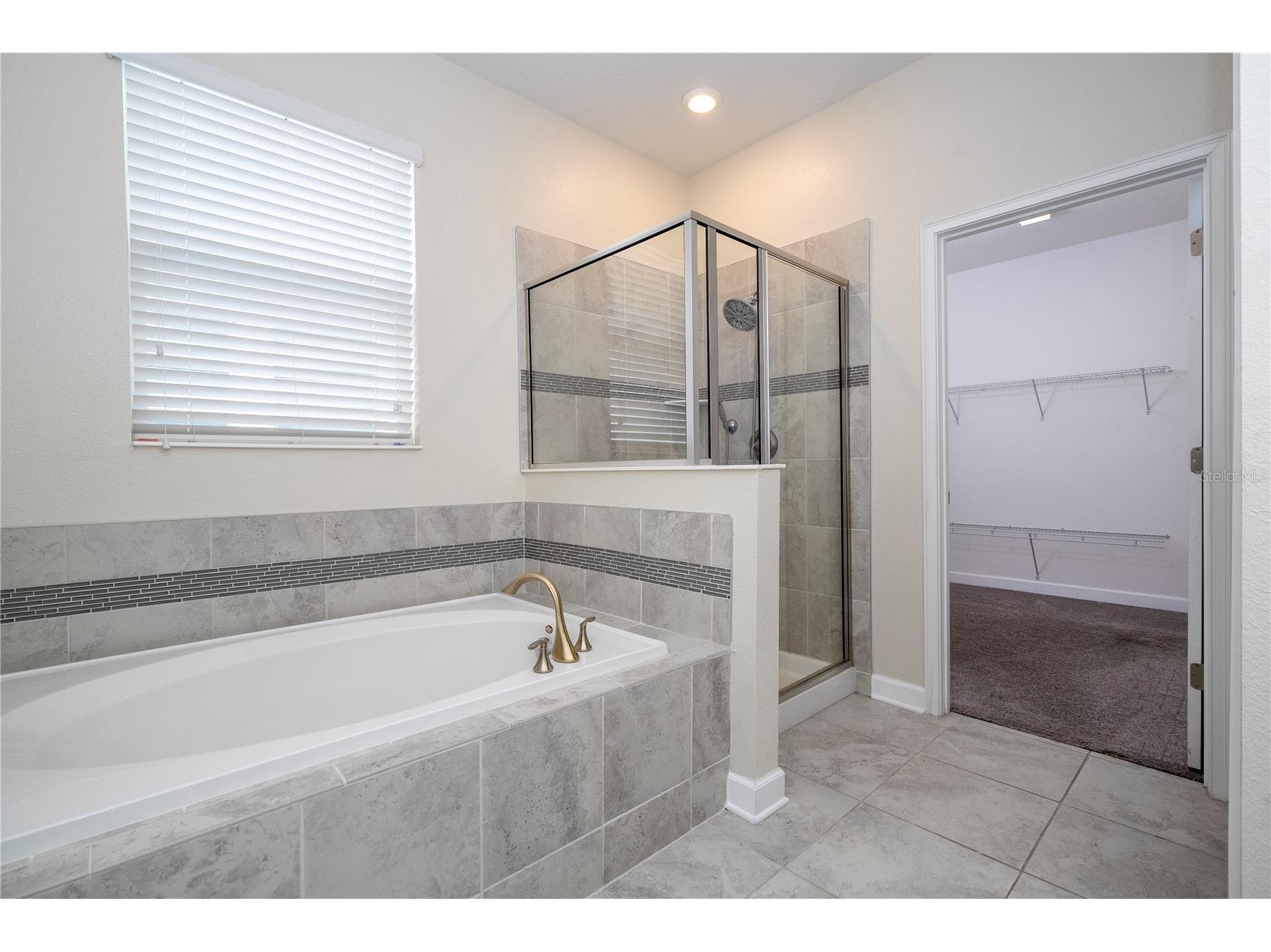 3043 Beaver Creek Drive Kissimmee FL 34746 S5151082 image33
