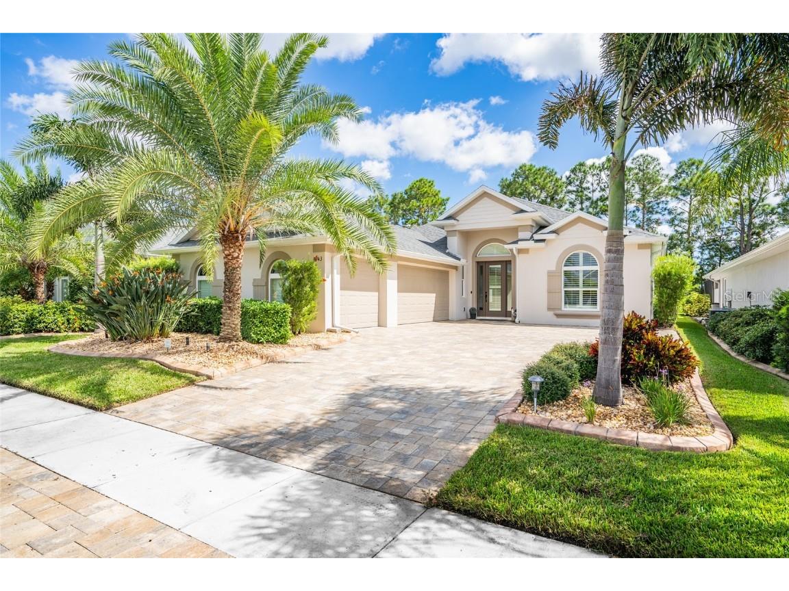 3043 Borassus Drive New Smyrna Beach FL 32168 NS1082739 image1