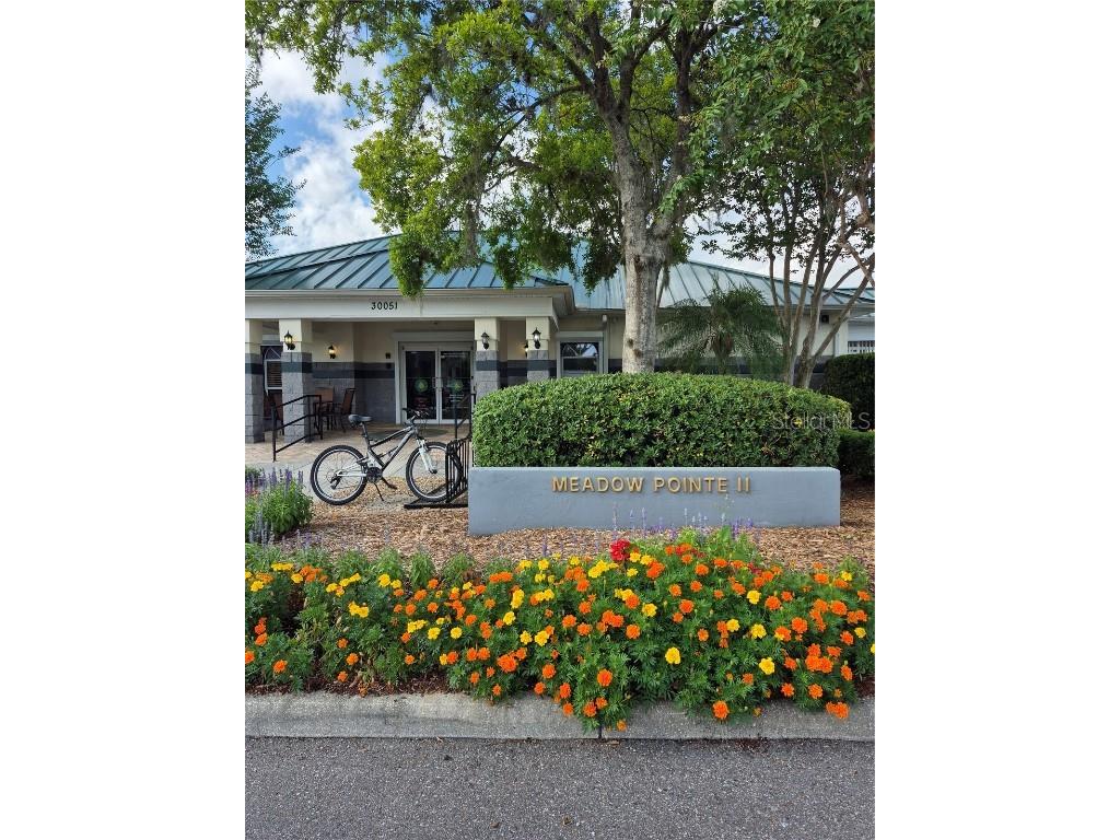 30434 Colehaven Court Wesley Chapel FL 33543 TB8376292 image35