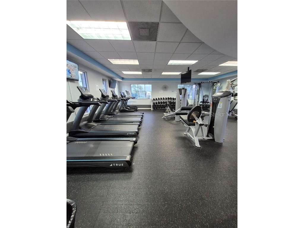 30434 Colehaven Court Wesley Chapel FL 33543 TB8376292 image38