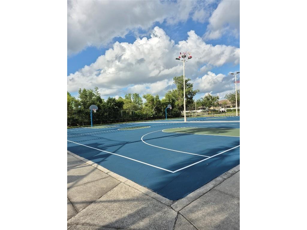 30434 Colehaven Court Wesley Chapel FL 33543 TB8376292 image46