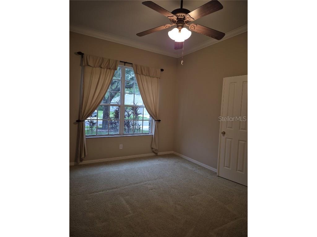 30434 Colehaven Court Wesley Chapel FL 33543 TB8376292 image5