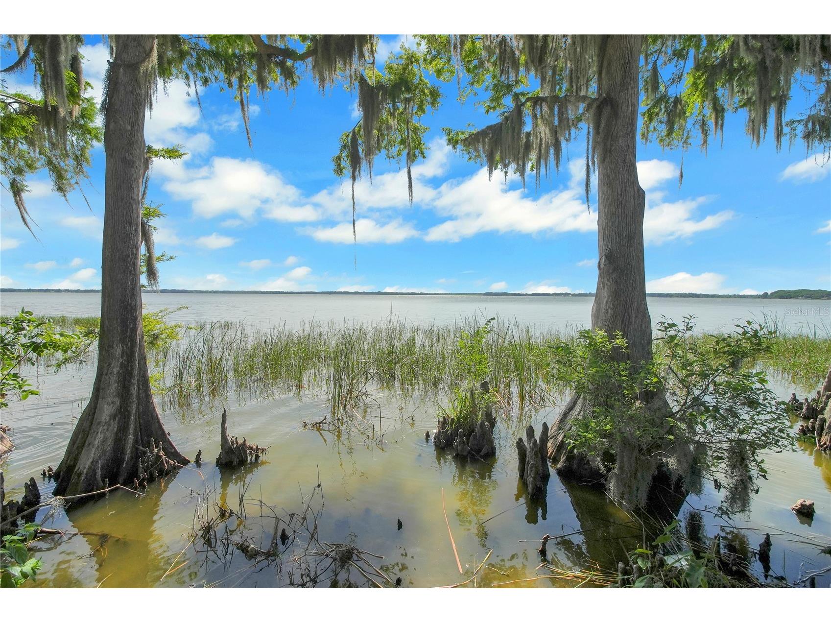 30437 Orange Drive Leesburg FL 34748 - LAKE HARRIS G5110964 image61