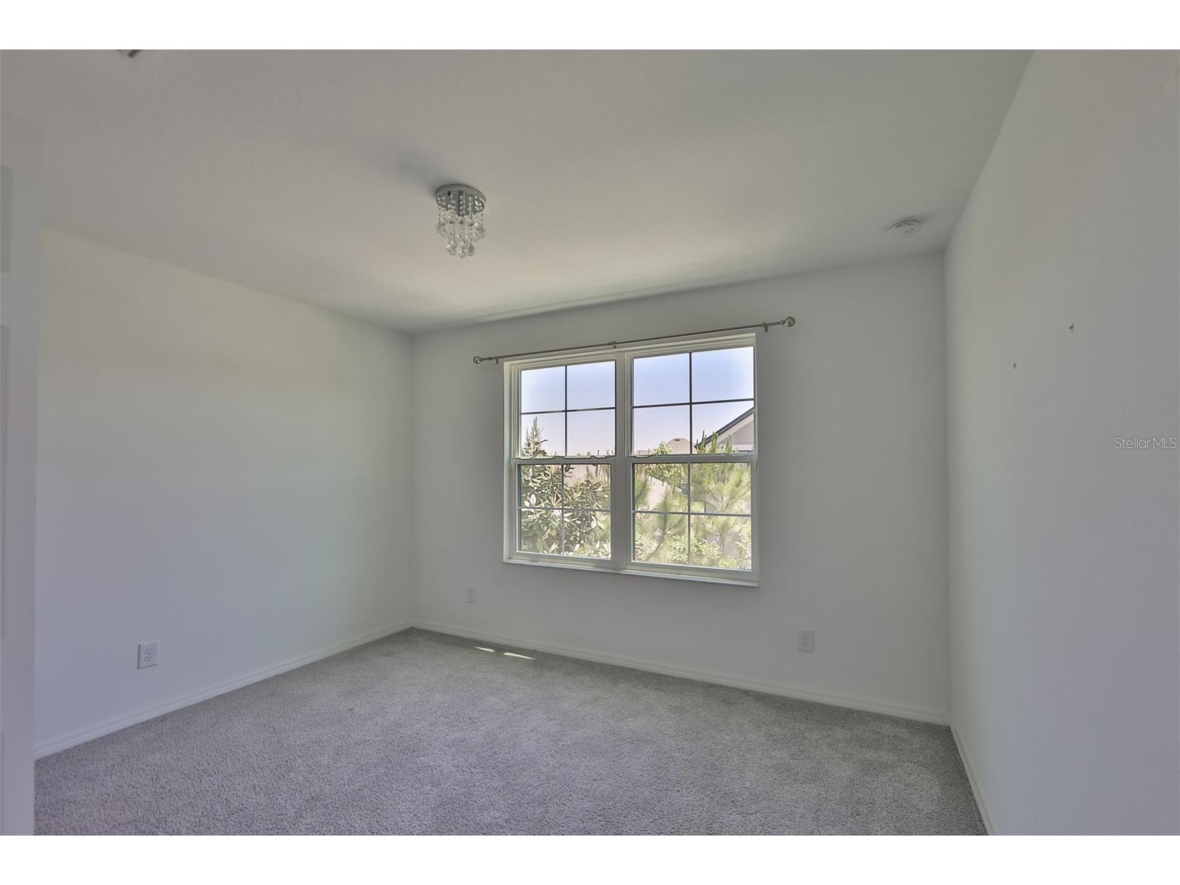 3044 Abrams Trail Odessa FL 33556 TB8514766 image14