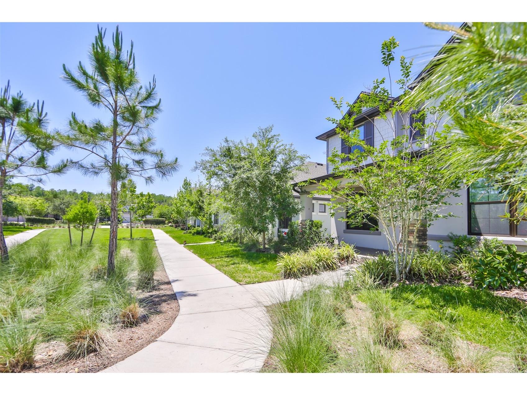 3044 Abrams Trail Odessa FL 33556 TB8514766 image2