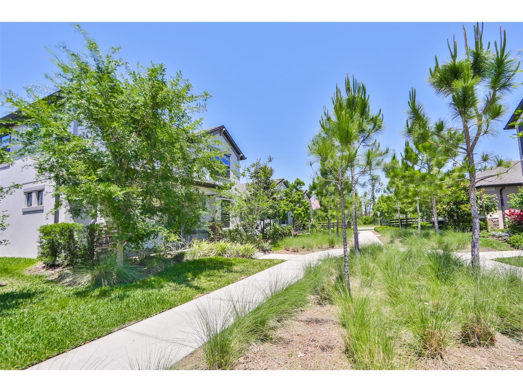 3044 Abrams Trail Odessa FL 33556 TB8514766 image3
