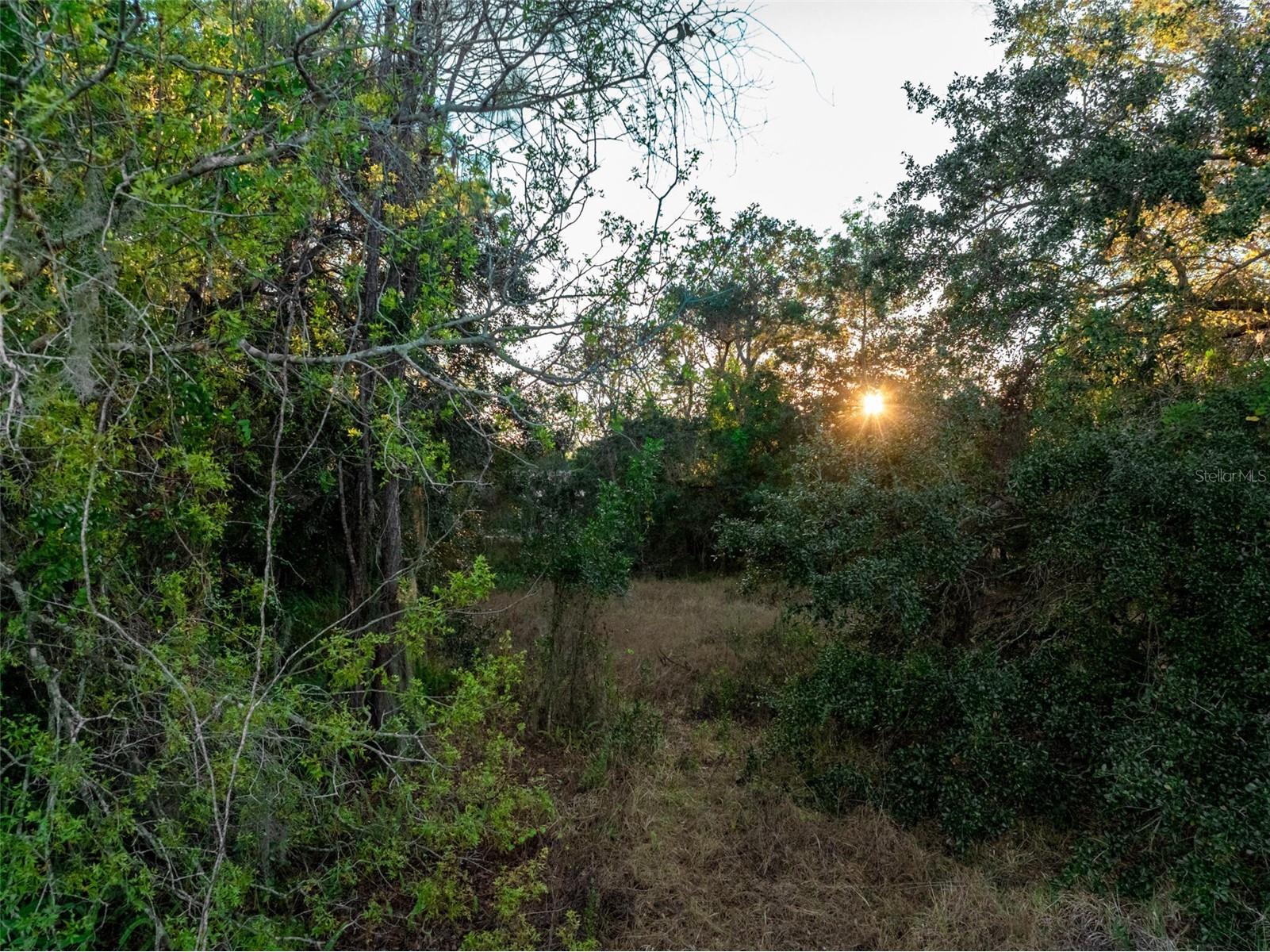 3044 Azalea Lane Lake Placid FL 33852 O6386256 image13