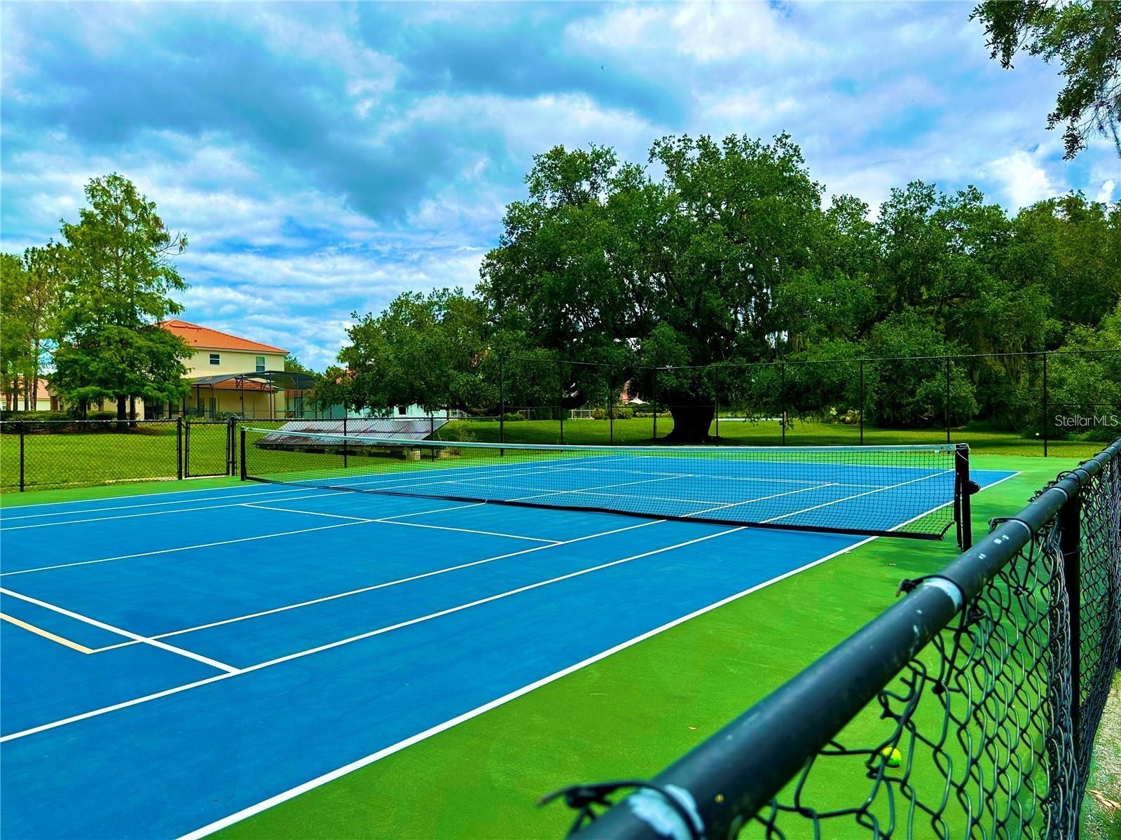 3044 Camino Real Drive S Kissimmee FL 34744 O6406104 image33