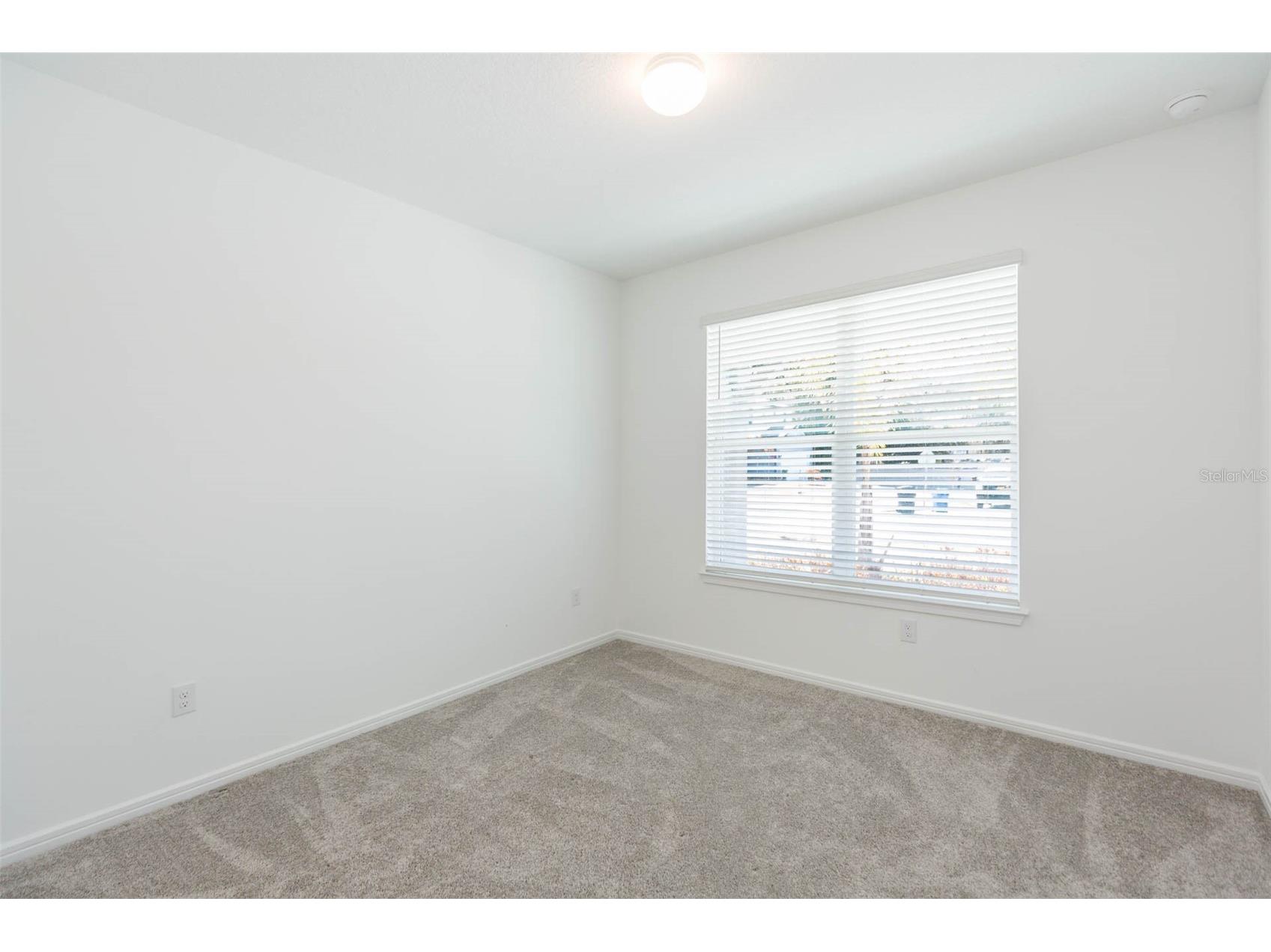 3044 Forest Meadow Avenue Valrico FL 33594 TB8476306 image18