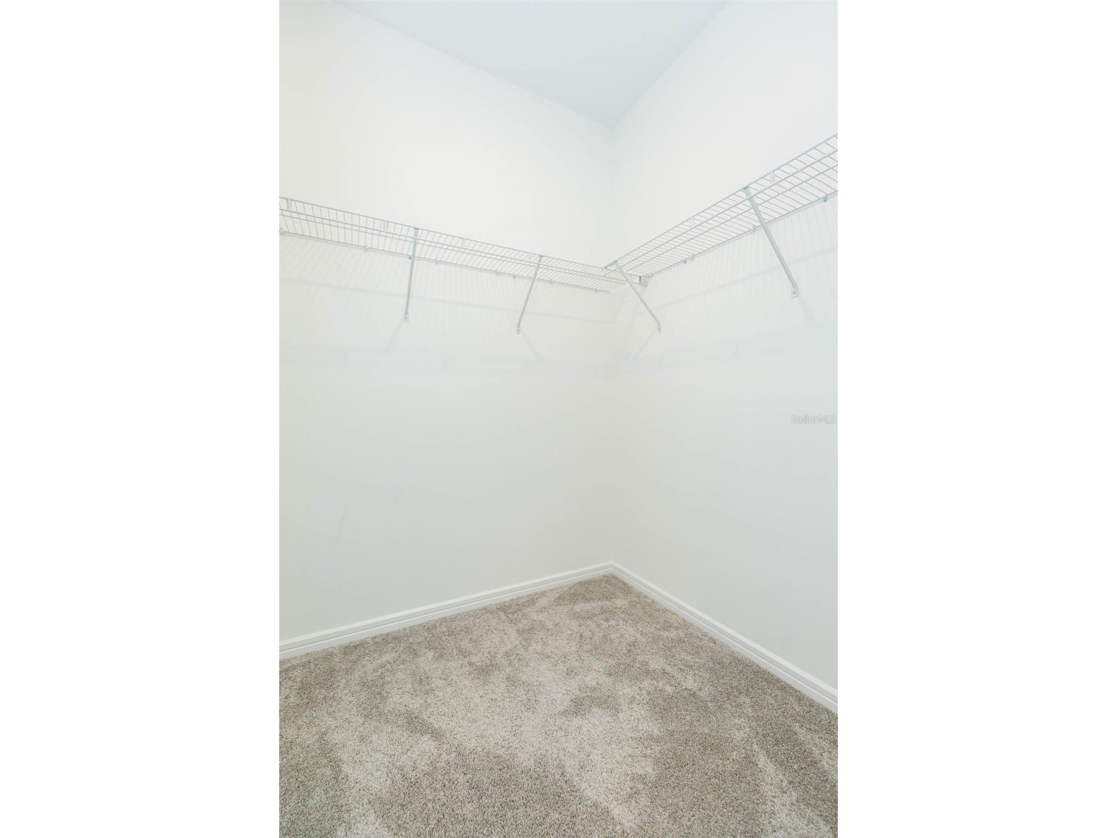 3044 Forest Meadow Avenue Valrico FL 33594 TB8476306 image21