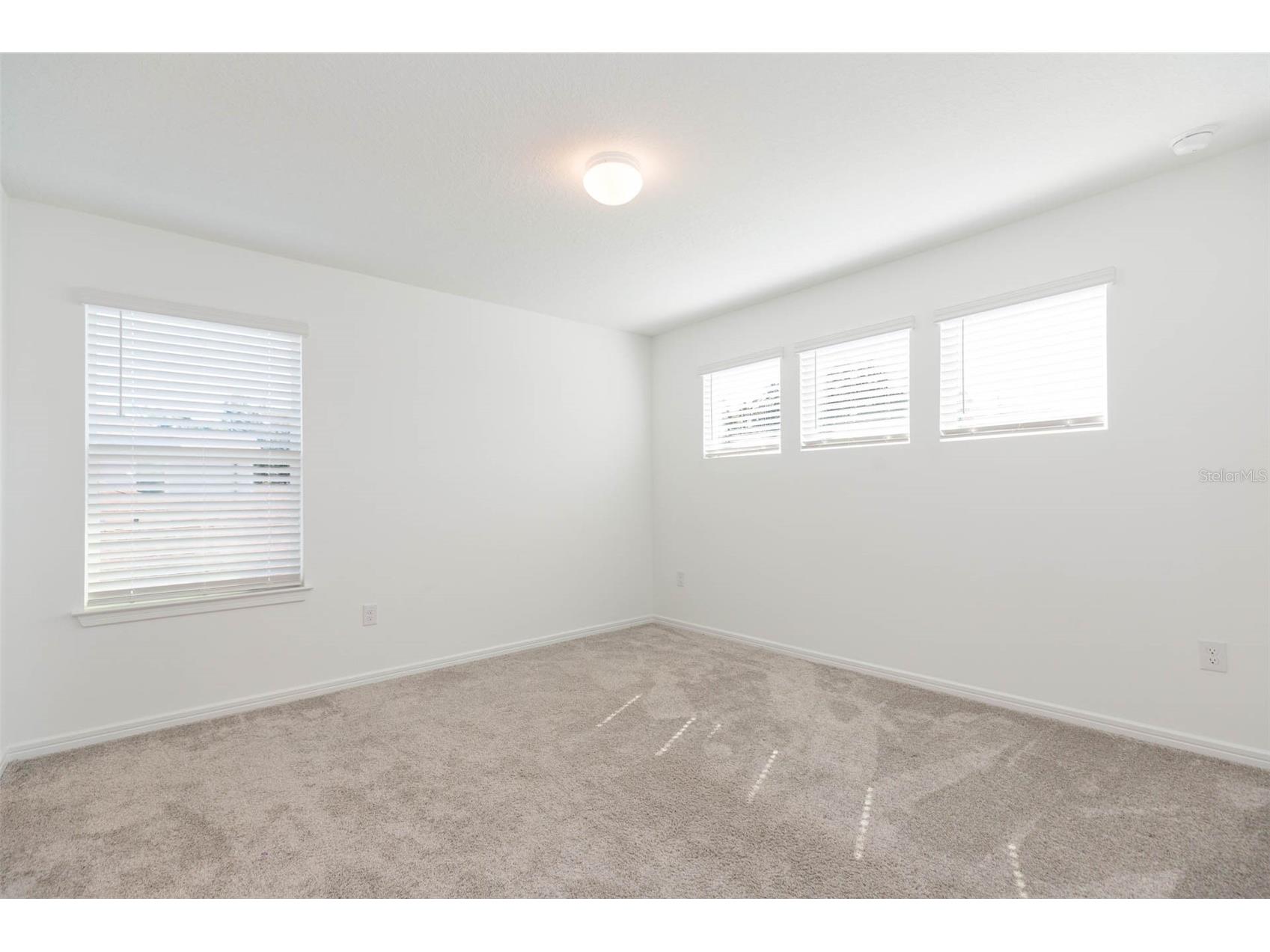3044 Forest Meadow Avenue Valrico FL 33594 TB8476306 image34