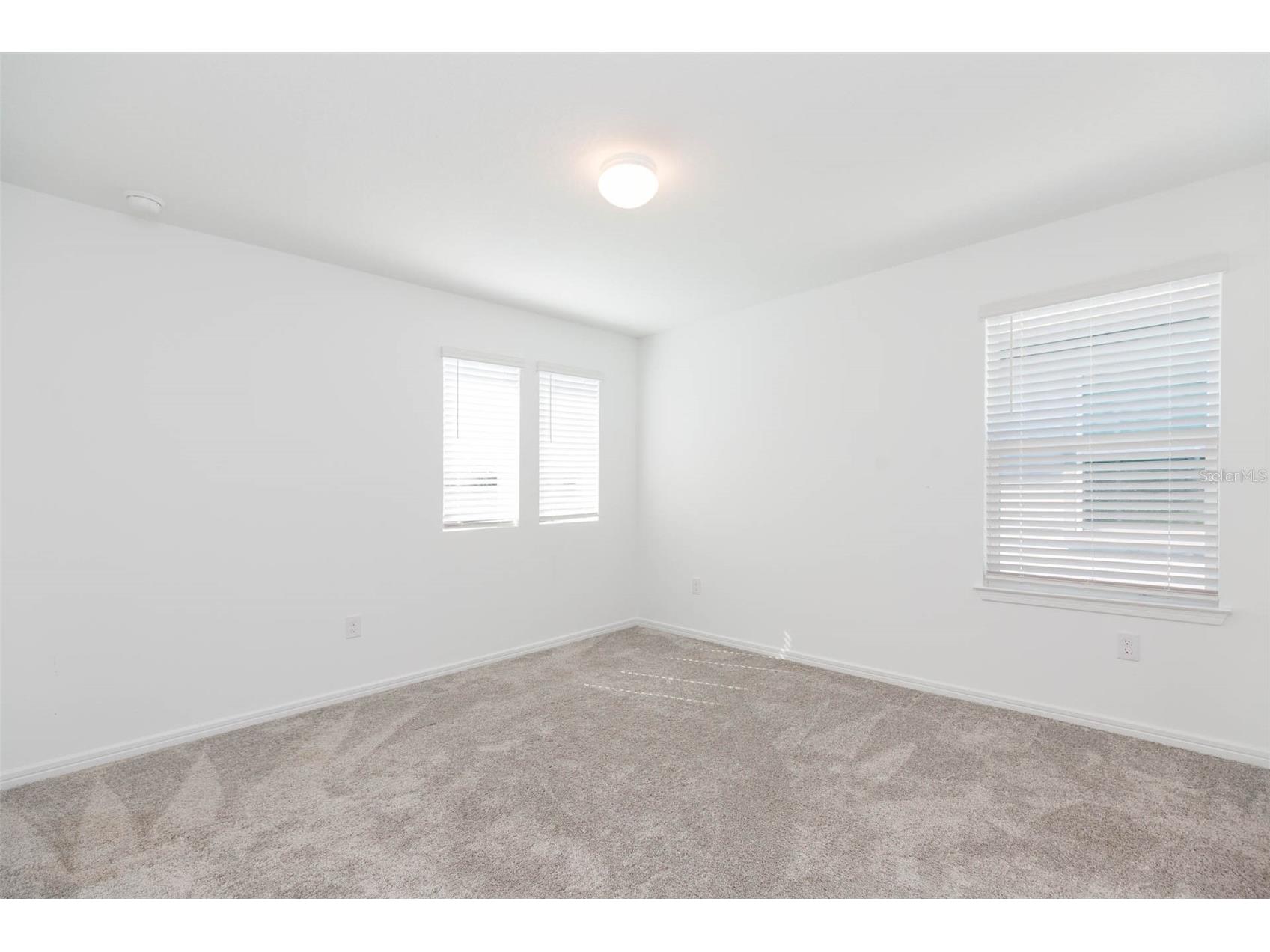3044 Forest Meadow Avenue Valrico FL 33594 TB8476306 image38