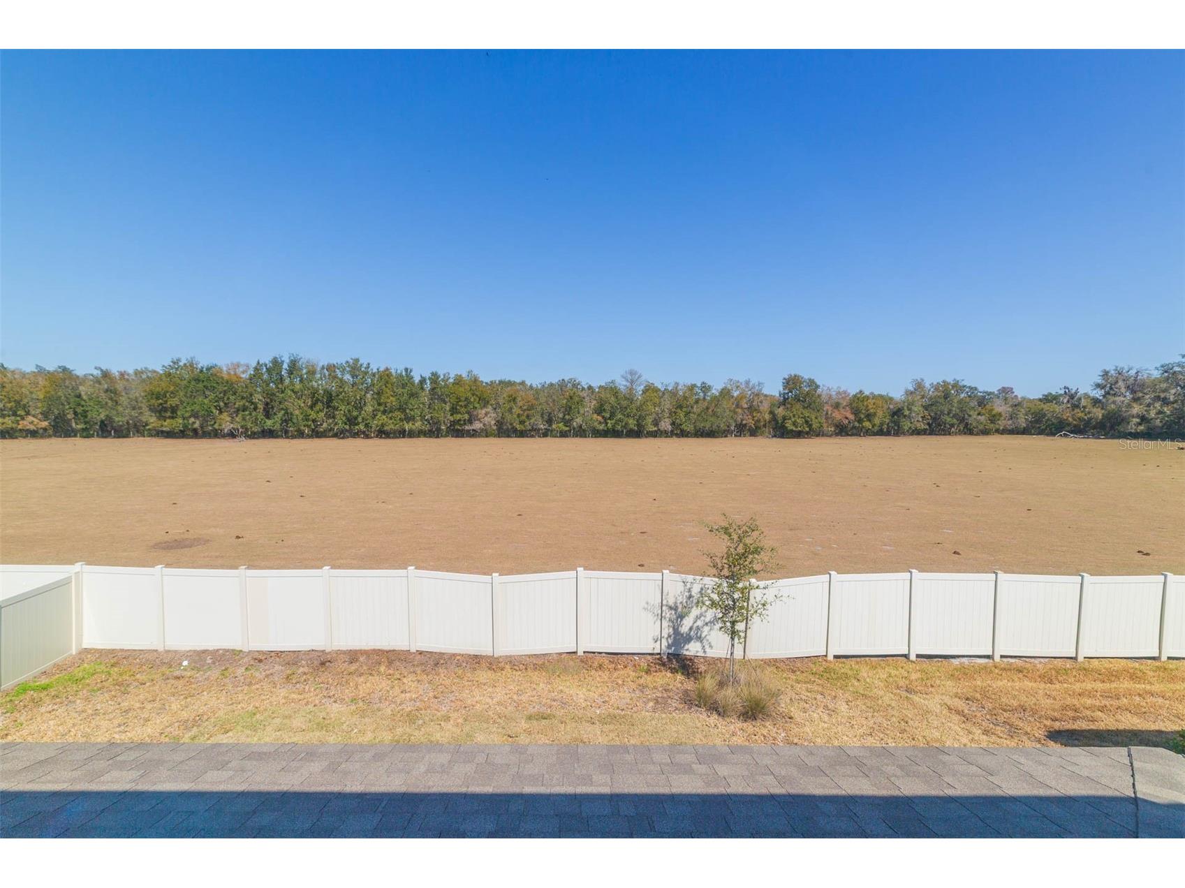 3044 Forest Meadow Avenue Valrico FL 33594 TB8476306 image51