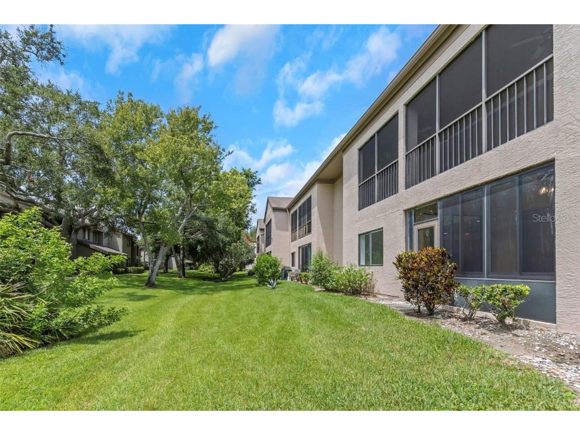 3044 Red Oak Court #101 Palm Harbor FL 34684 TB8417700 image37