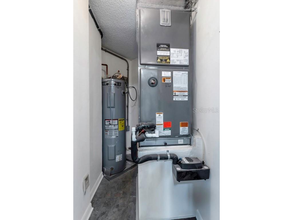 3044 Red Oak Court #101 Palm Harbor FL 34684 TB8417700 image41