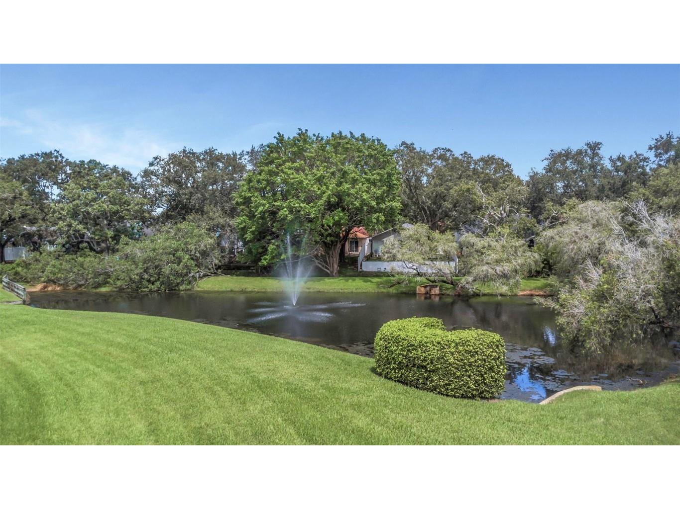 3044 Red Oak Court #101 Palm Harbor FL 34684 TB8417700 image48