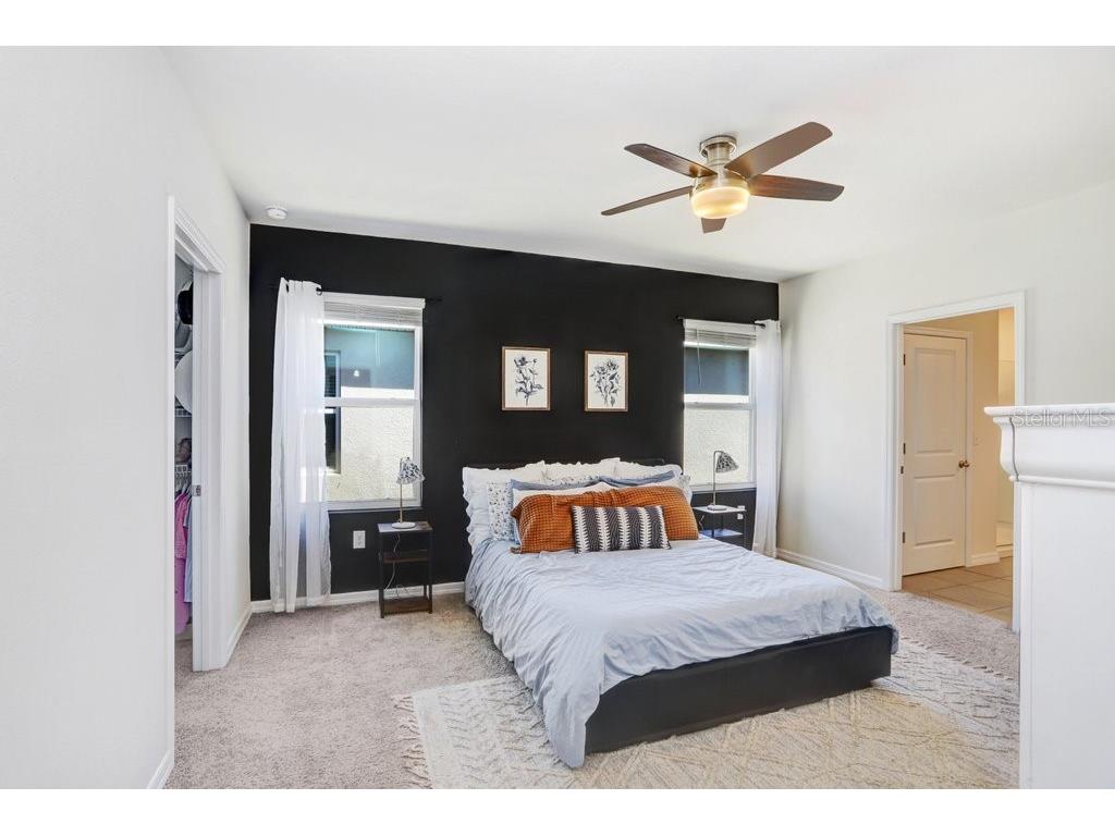 3044 Suncoast Plains Drive Odessa FL 33556 TB8496686 image19