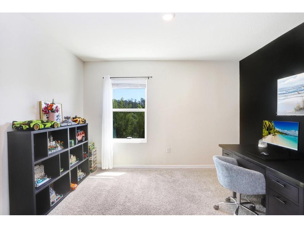 3044 Suncoast Plains Drive Odessa FL 33556 TB8496686 image25