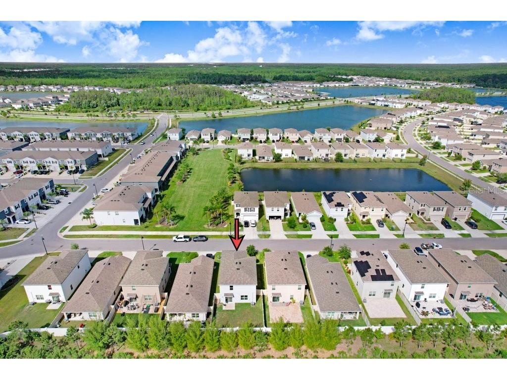 3044 Suncoast Plains Drive Odessa FL 33556 TB8496686 image36