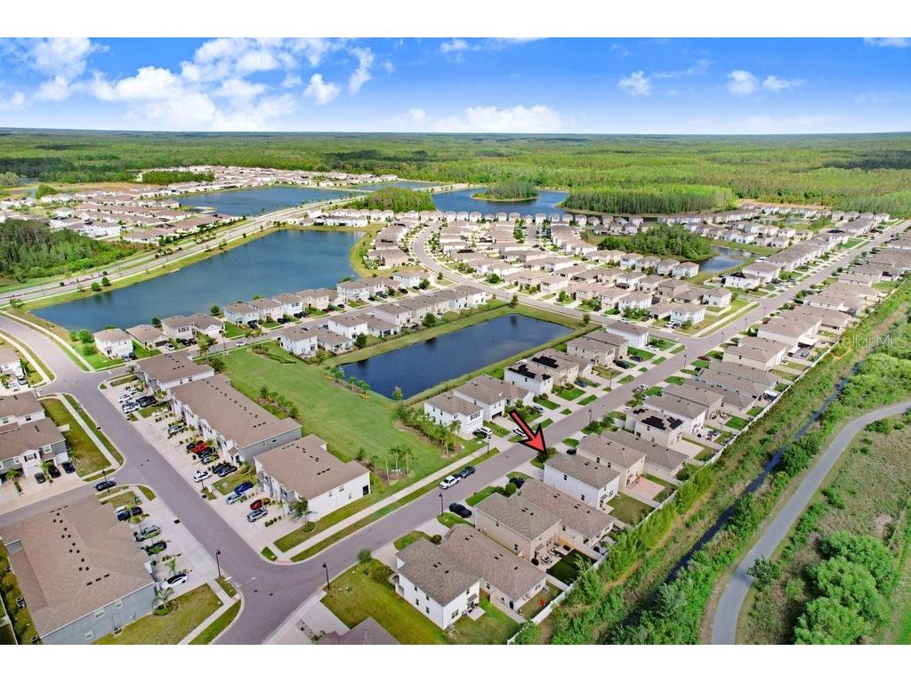 3044 Suncoast Plains Drive Odessa FL 33556 TB8496686 image37