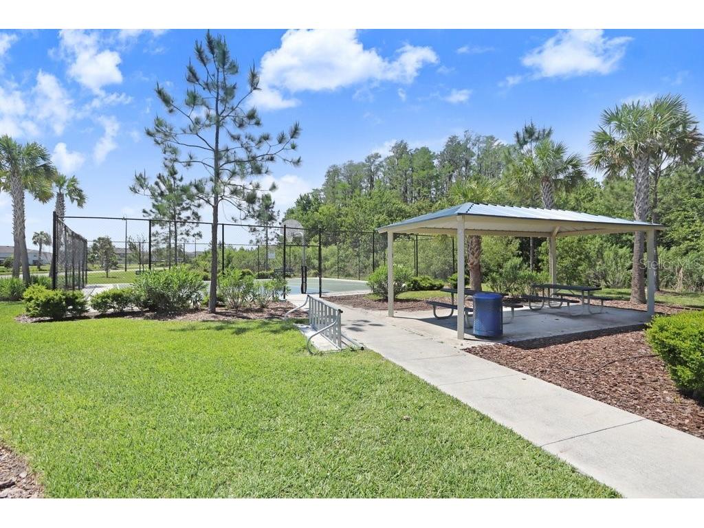 3044 Suncoast Plains Drive Odessa FL 33556 TB8496686 image45