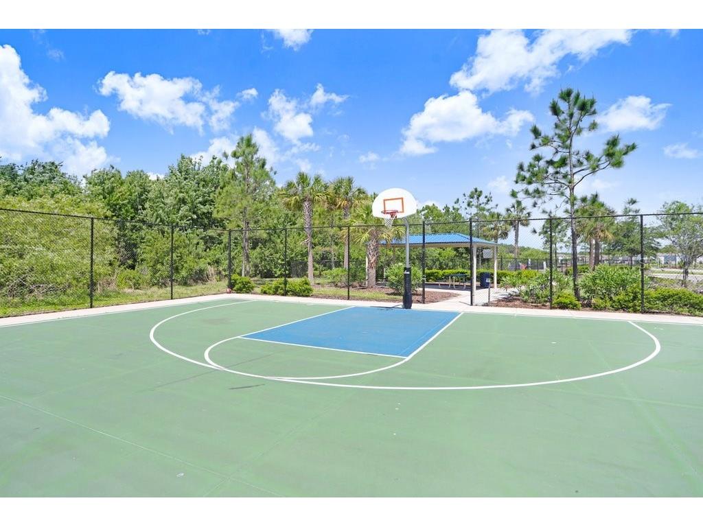 3044 Suncoast Plains Drive Odessa FL 33556 TB8496686 image46