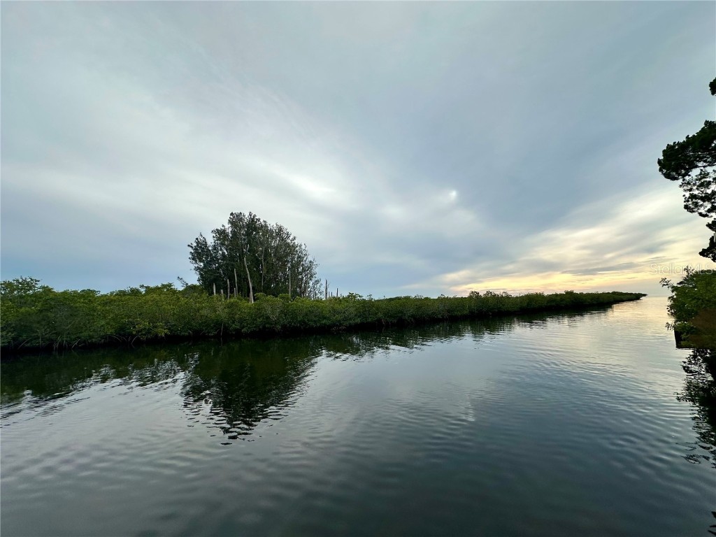 3044 Sunset Vista Drive Spring Hill FL 34607 TB8444969 image5