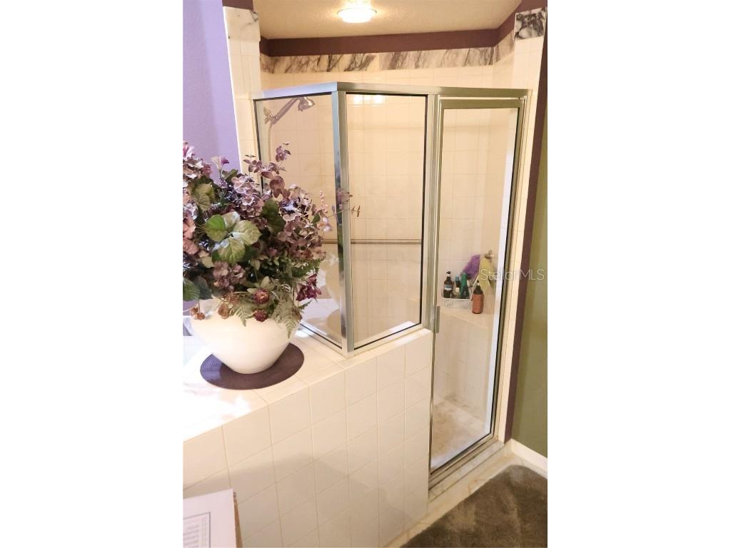 30442 Lettingwell Circle Wesley Chapel FL 33543 TB8436865 image13