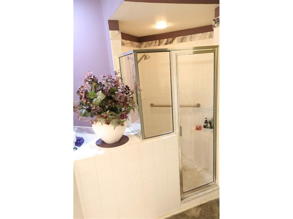 30442 Lettingwell Circle Wesley Chapel FL 33543 TB8436865 image14