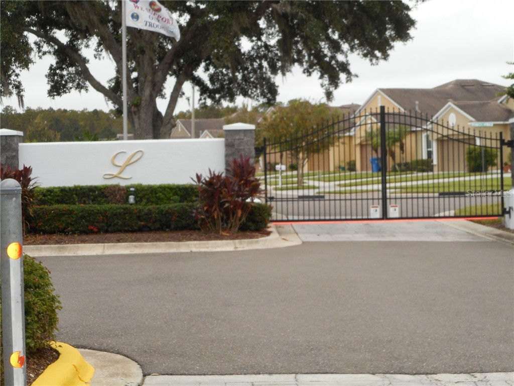 30442 Lettingwell Circle Wesley Chapel FL 33543 TB8436865 image35