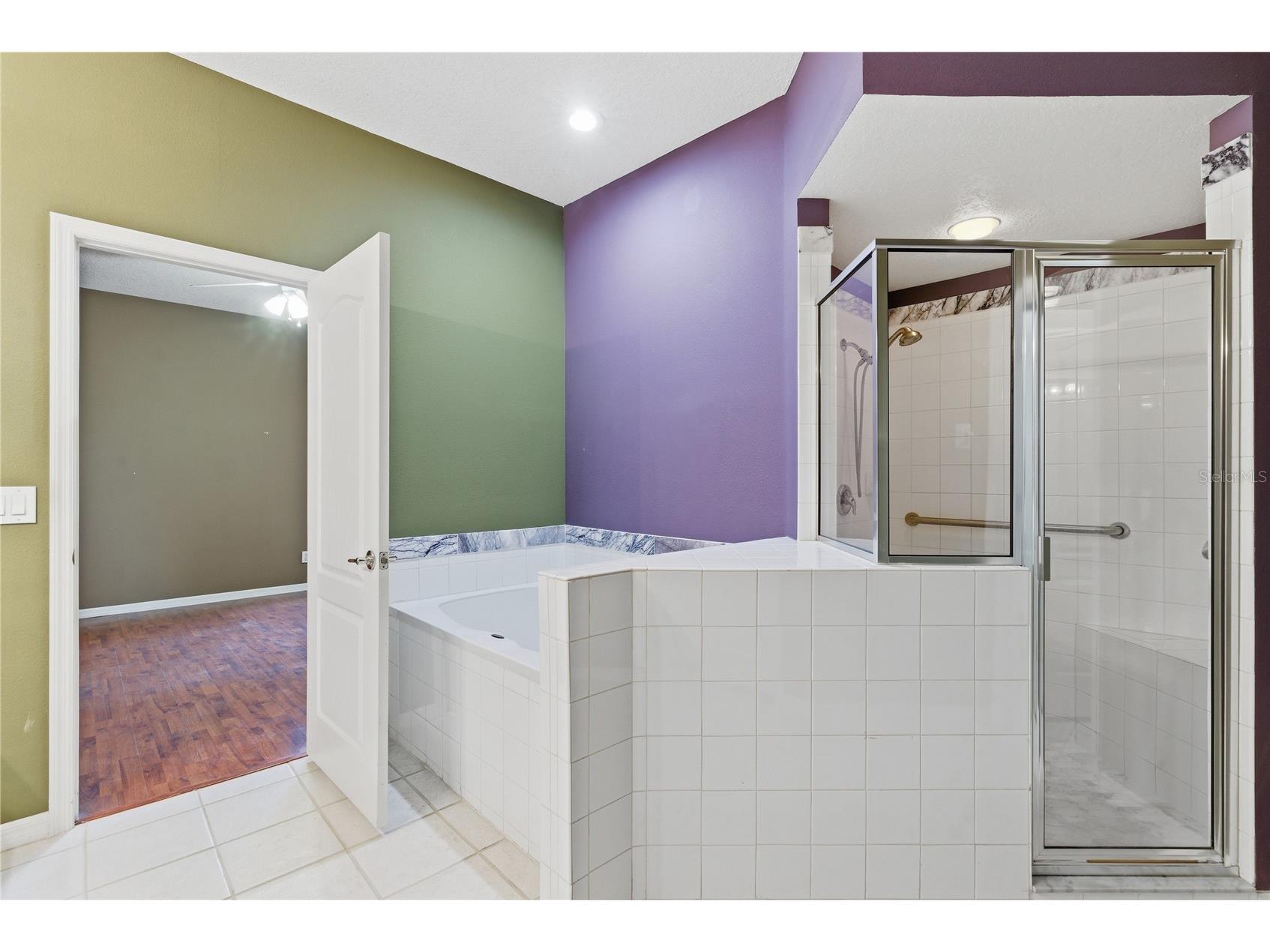 30442 Lettingwell Circle Wesley Chapel FL 33543 TB8503025 image11