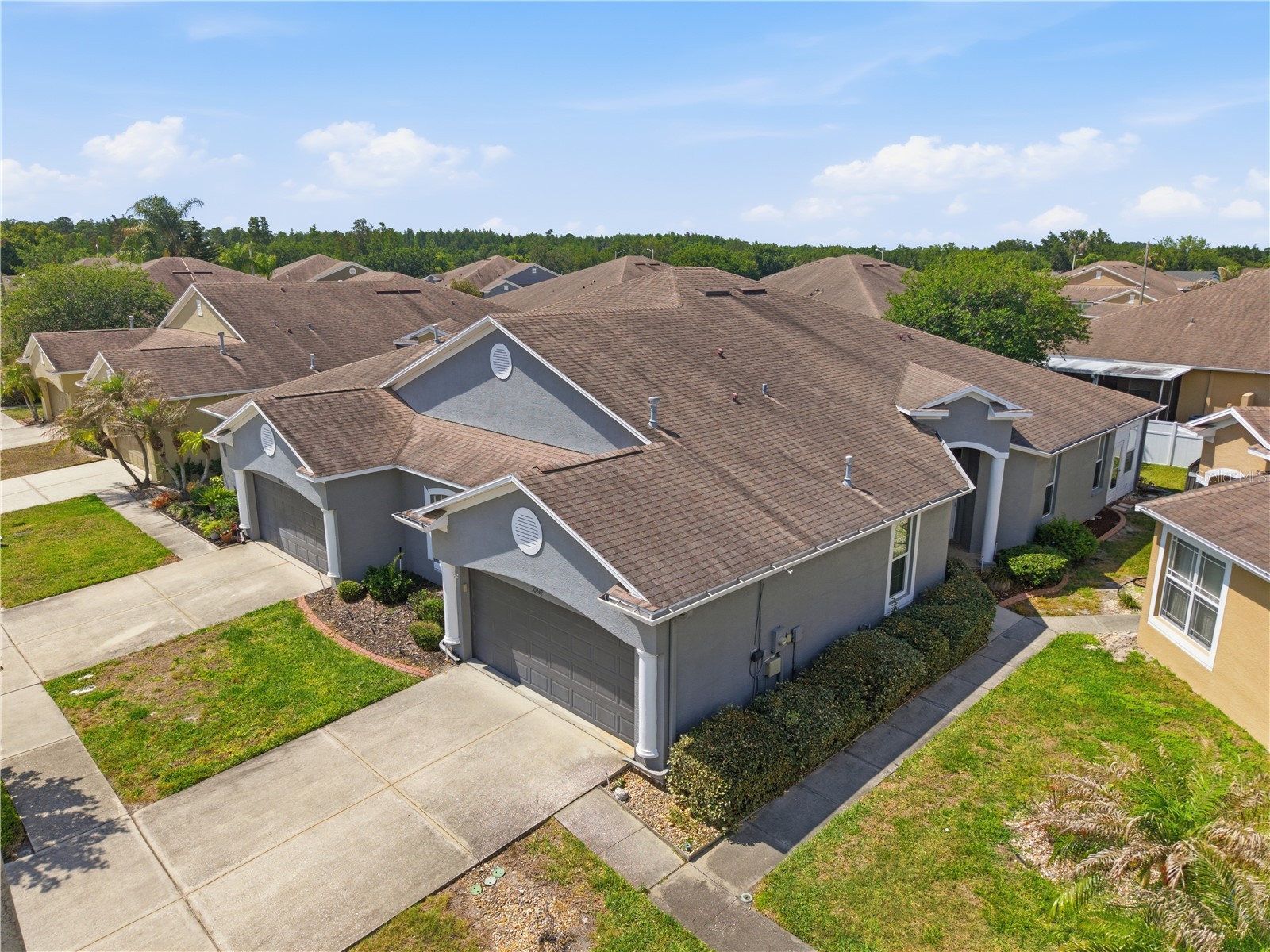 30442 Lettingwell Circle Wesley Chapel FL 33543 TB8503025 image20