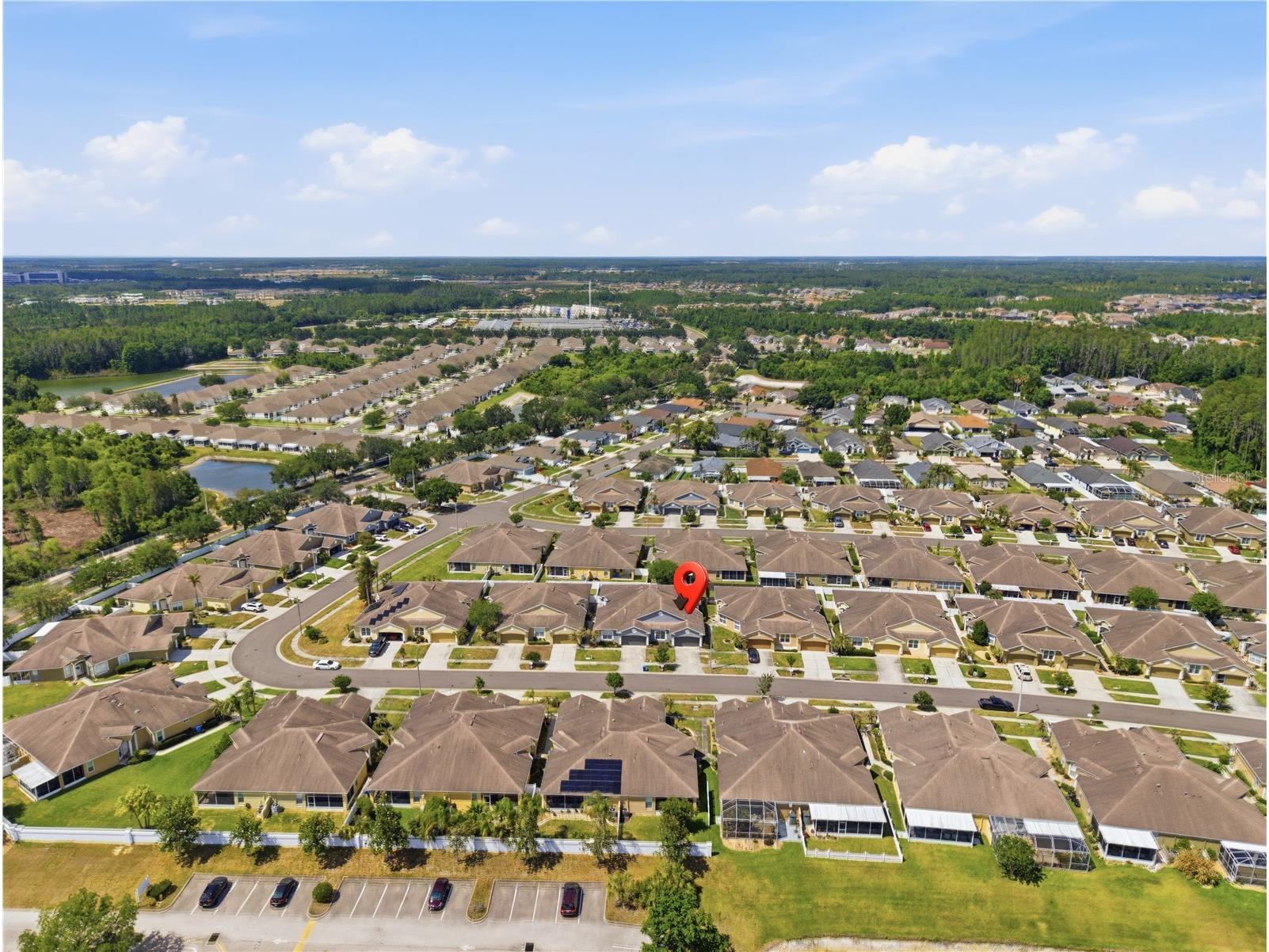 30442 Lettingwell Circle Wesley Chapel FL 33543 TB8503025 image22