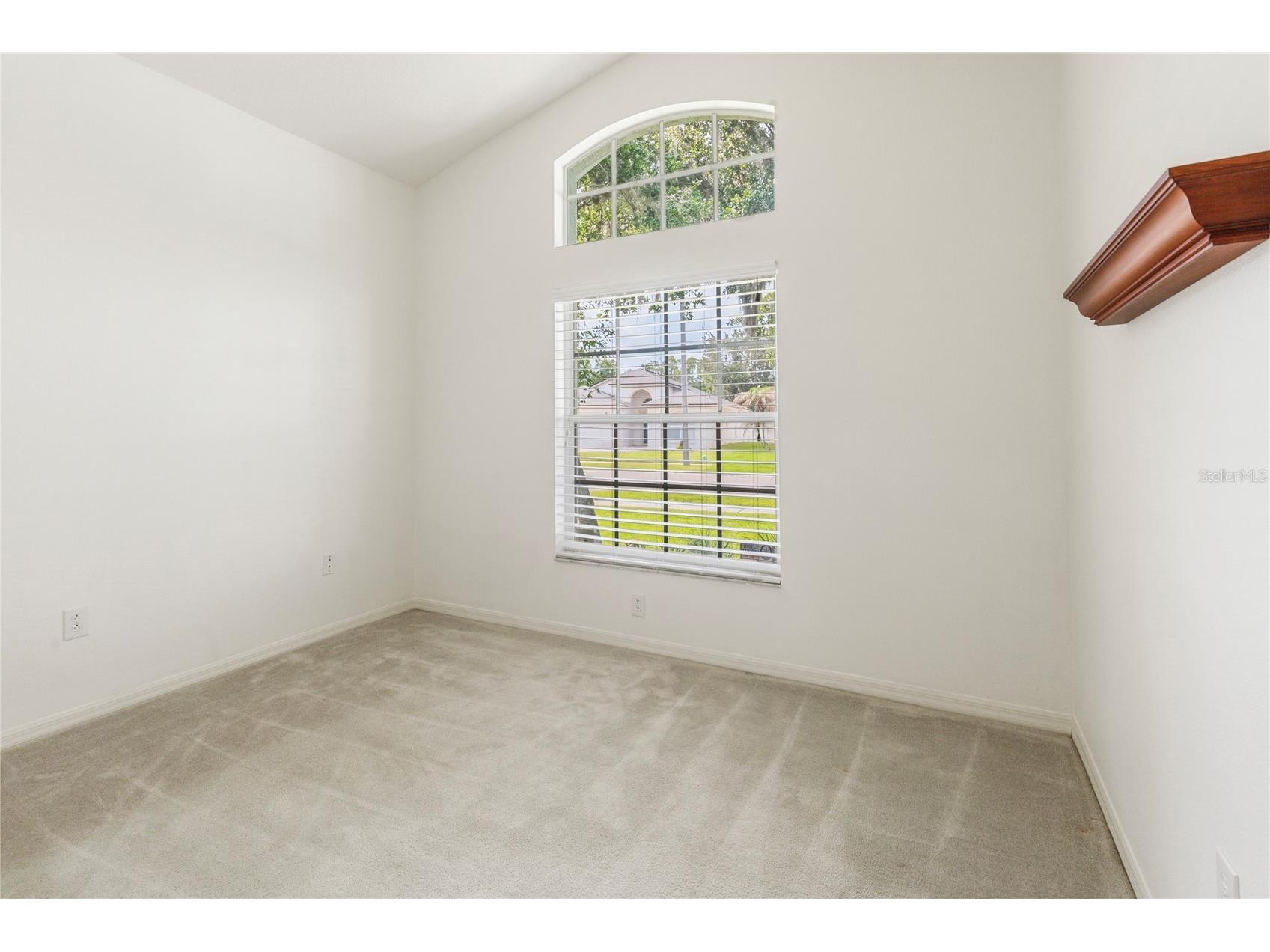 30446 Tremont Drive Wesley Chapel FL 33543 TB8519315 image11