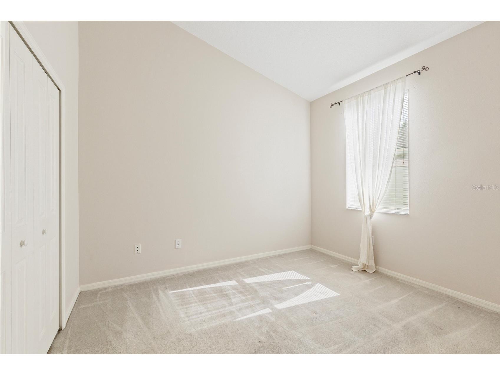 30446 Tremont Drive Wesley Chapel FL 33543 TB8519315 image15