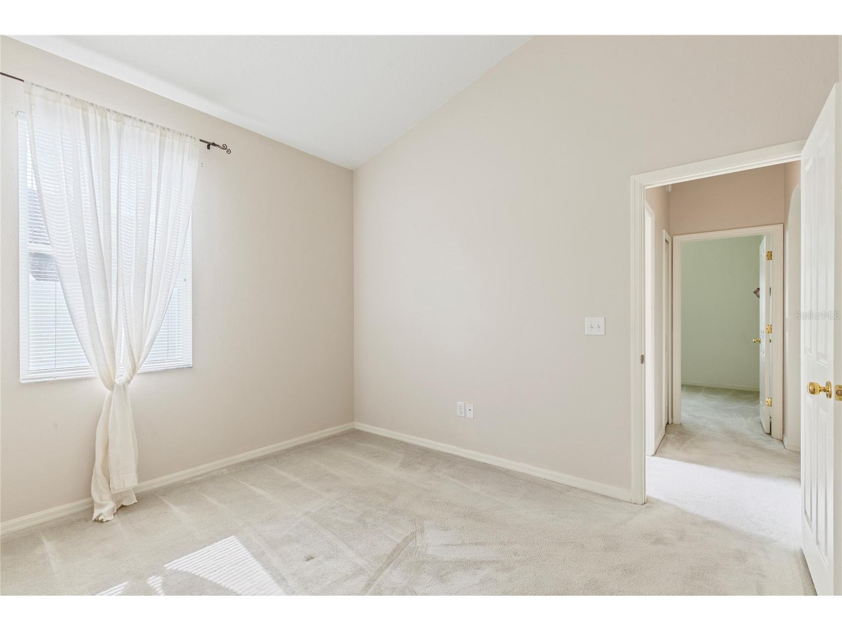 30446 Tremont Drive Wesley Chapel FL 33543 TB8519315 image16