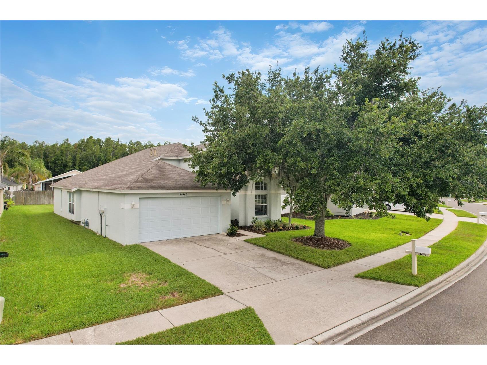 30446 Tremont Drive Wesley Chapel FL 33543 TB8519315 image2