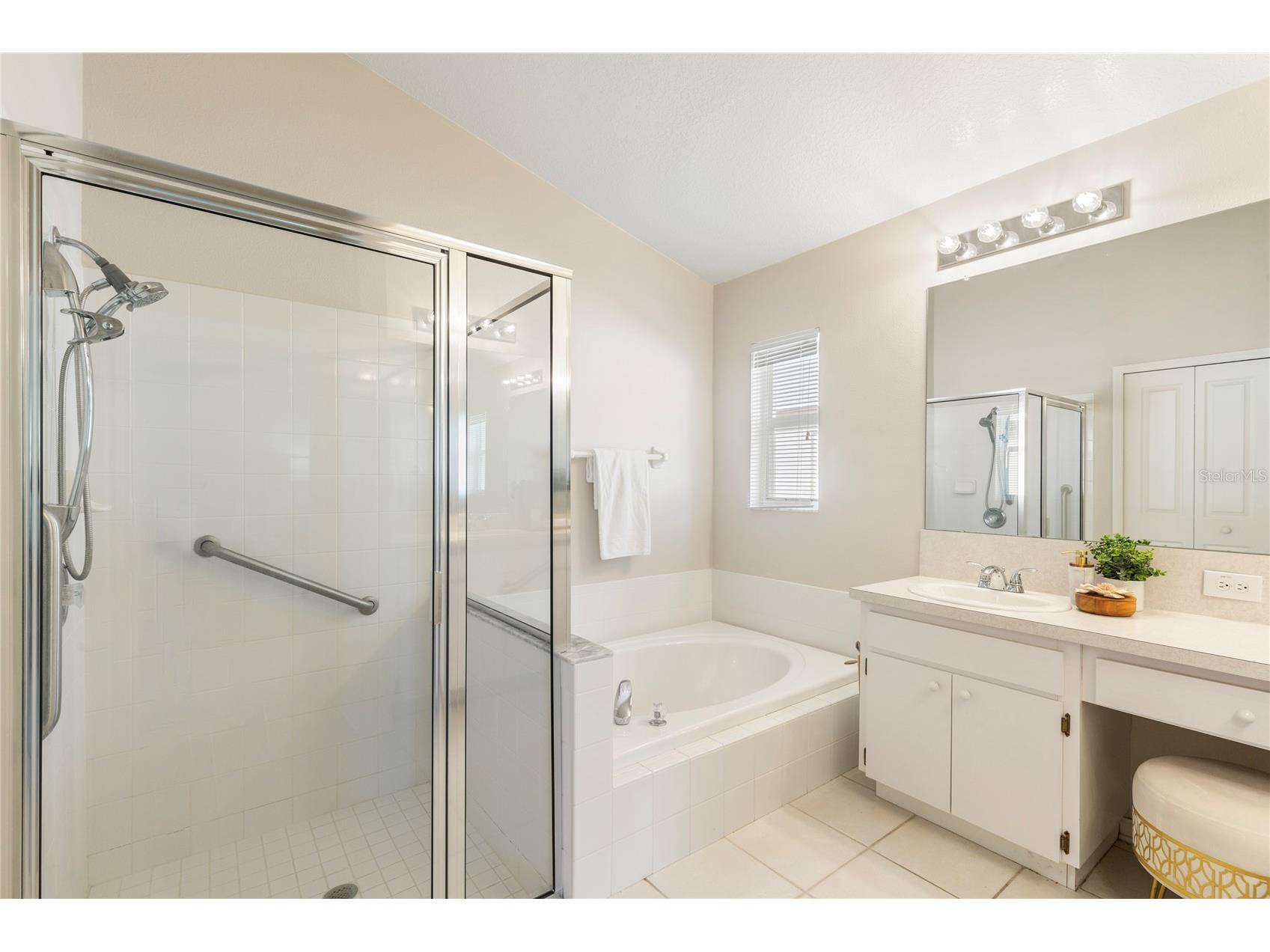 30446 Tremont Drive Wesley Chapel FL 33543 TB8519315 image25