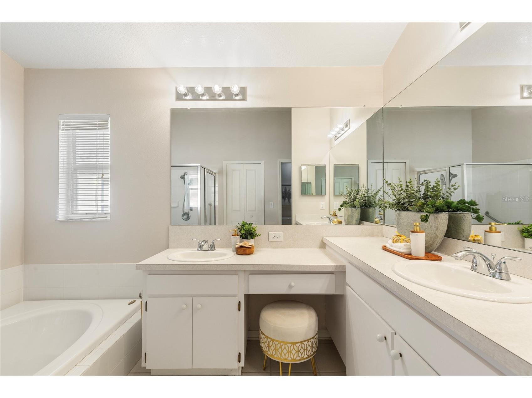30446 Tremont Drive Wesley Chapel FL 33543 TB8519315 image26