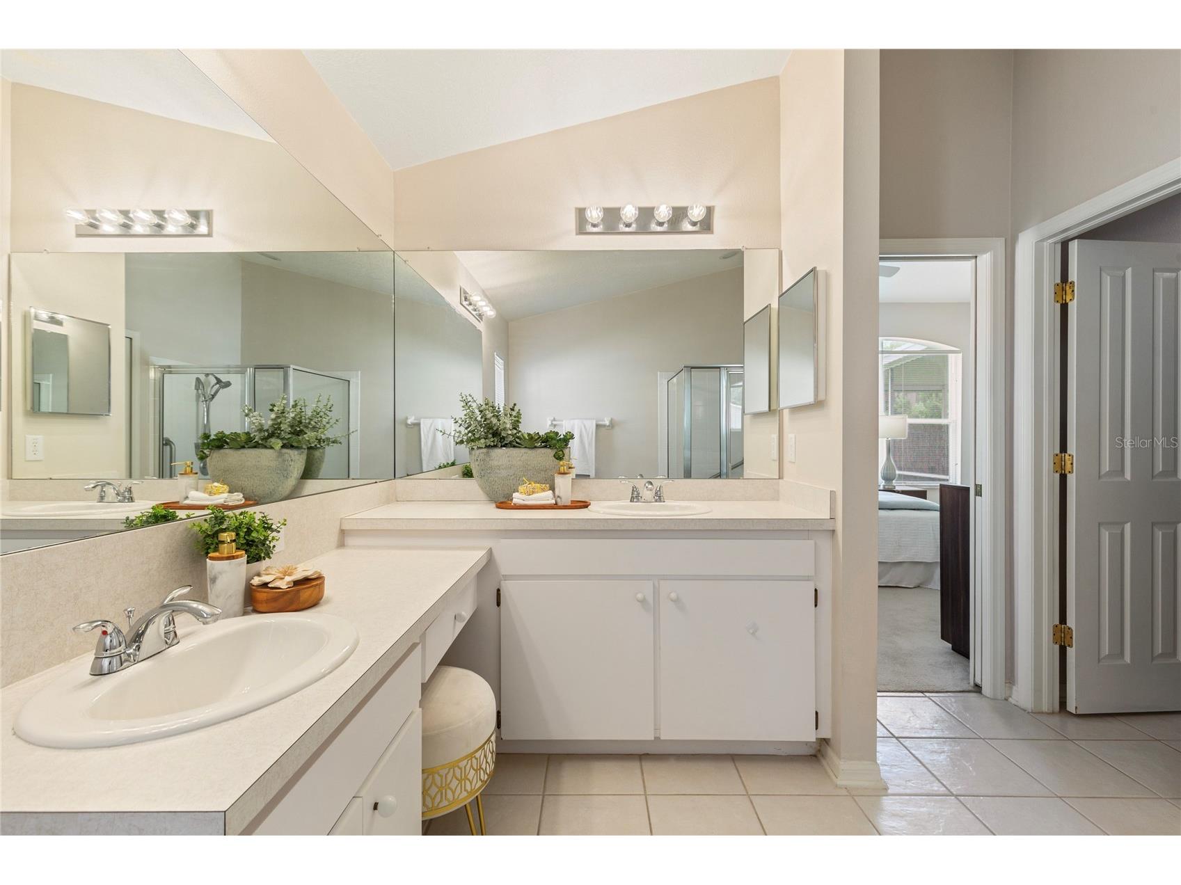 30446 Tremont Drive Wesley Chapel FL 33543 TB8519315 image27