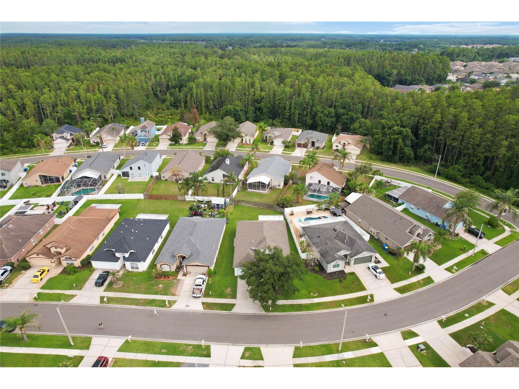 30446 Tremont Drive Wesley Chapel FL 33543 TB8519315 image35