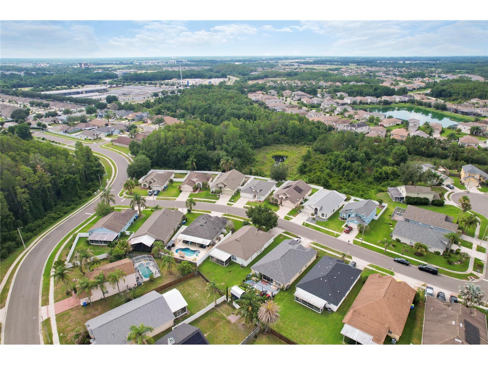 30446 Tremont Drive Wesley Chapel FL 33543 TB8519315 image38
